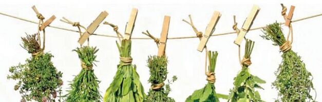 Effective herbs from prostatitis